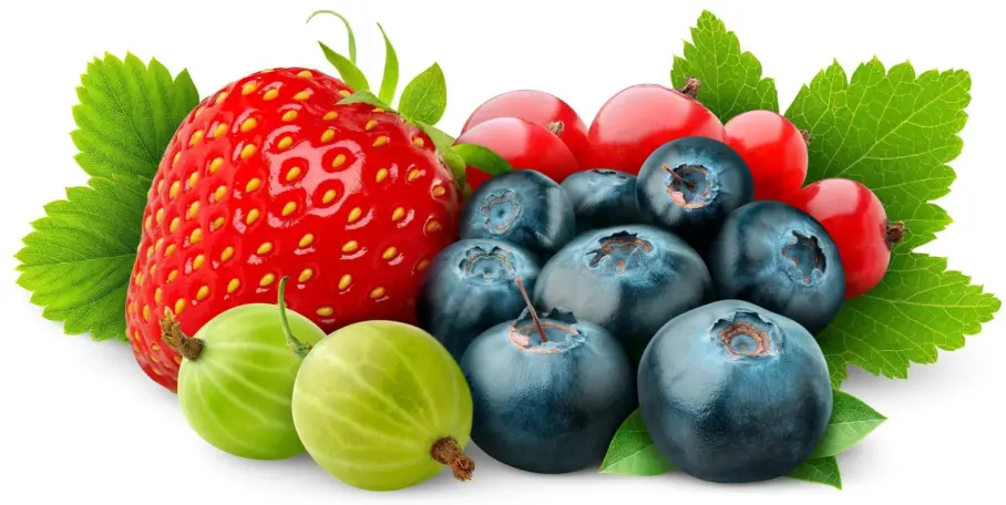 Berries.com