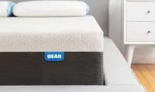 Coupon Bear Mattress