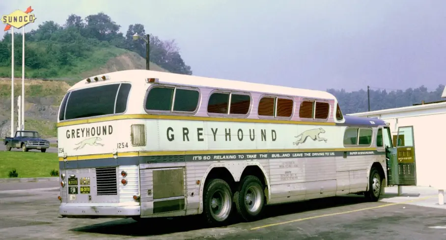 Greyhound