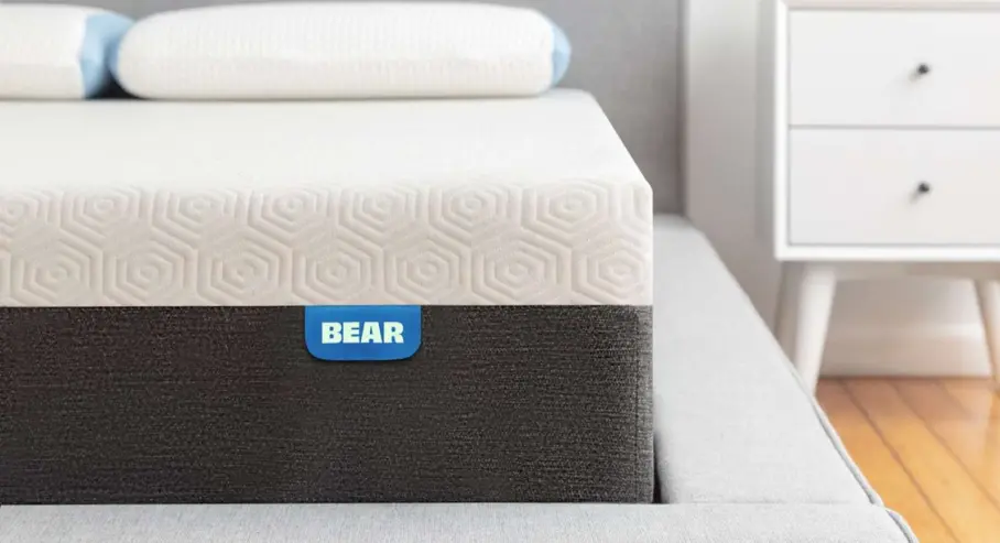 Bear Mattress