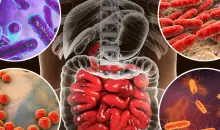 iHerb Intestinal Formulas: Pathways to Digestive Wellness