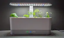 Discounts AeroGarden