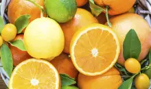Top 5 Liposomal Vitamin C on iHerb: Essential Benefits for Health